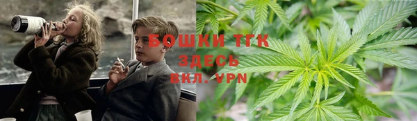 крисы Бронницы