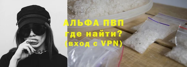 крисы Бронницы