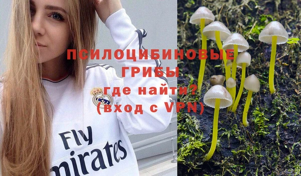 PSILOCYBIN Бугульма
