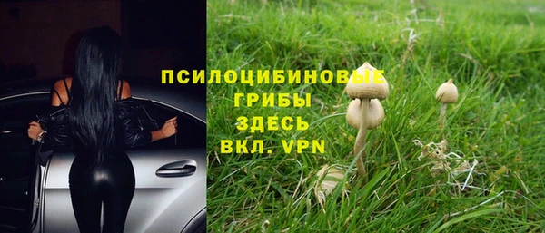 крисы Бронницы