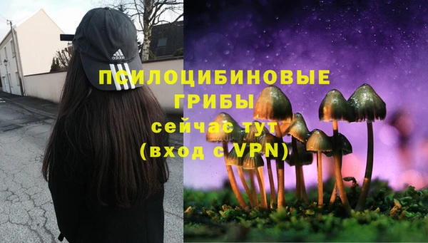PSILOCYBIN Бугульма
