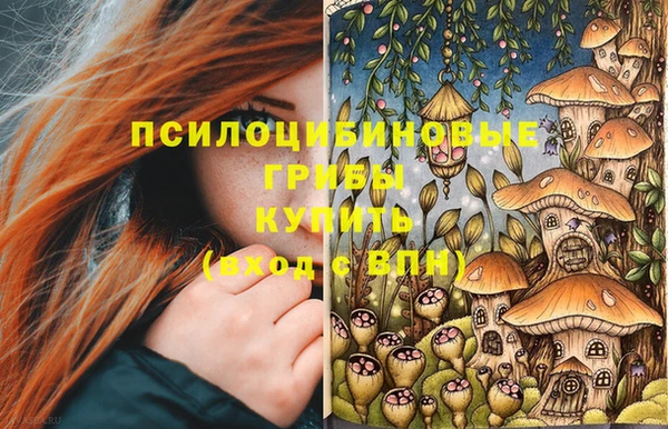 крисы Бронницы