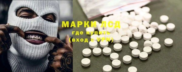 PSILOCYBIN Бугульма